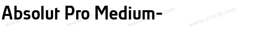 Absolut Pro Medium字体转换